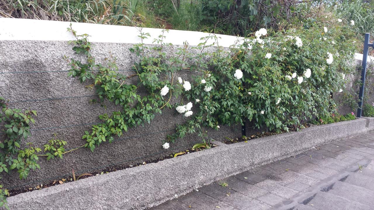 Paraiso Das Flores Estreito Da Calheta Exterior foto