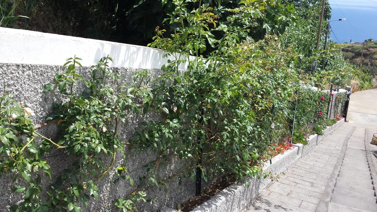 Paraiso Das Flores Estreito Da Calheta Exterior foto